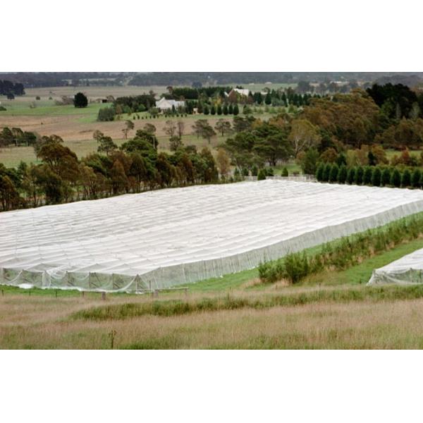 Waste Disposal Insect Mesh Netting Easywash 0.8 * 0.8mm For Horizontal Shed