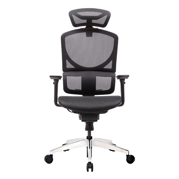 ISEE M Full Mesh Ergonomic Office Chairs High Back Executive With Headrest