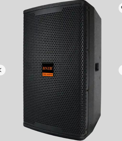 ODM High Power Party Speaker Wireless 200W 10 Inch 12 Inch Karaoke Audio System