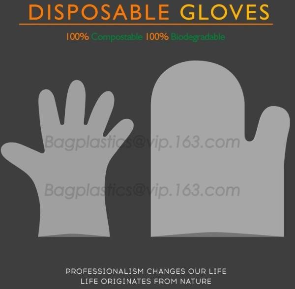 Cornstarch 100% compostable bio degradable vest shopping plastic bags, Compostable Vietnam Shopping Packed Bags