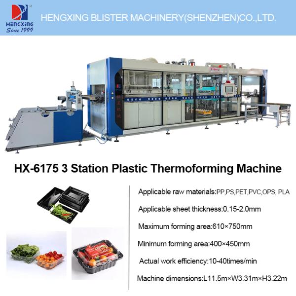 Versatile Multi-Station Plastic Thermoforming Machine for Disposable PP Containers, Food Trays, Hinged Containers | China