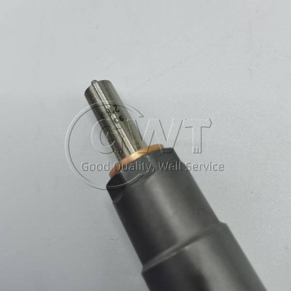 0445110646 0445110647 BOSCH Diesel Fuel Injectors Common Rail Injector 0986435166 0986435167