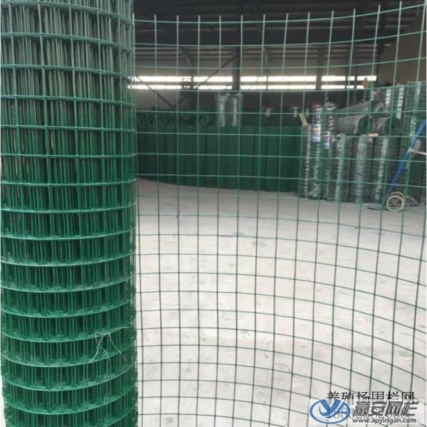 1/2inch By 1/2 Inch Pvc Coated Welded Wire Mesh Anti Aging