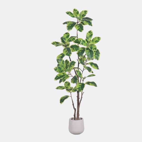 Latest New Arrival Artificial Indoor Plants Potted Plants Green White Faux Rubber Tree for Decoration Office Small Plastic