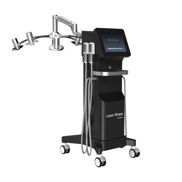 Paddle Size Large Lipo Laser Slimming Machine with 800W Power