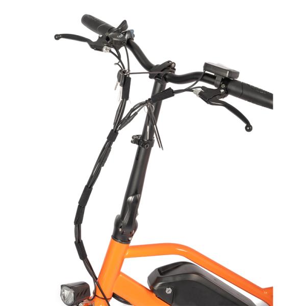 Family E-cargo Electric Bike with 20