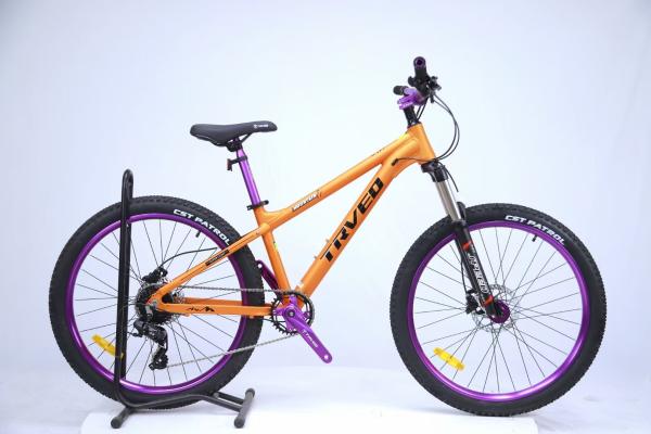 150KG Load Capacity Sports Mountain Bike Steel Fork and Ordinary Pedal for Riding Experience