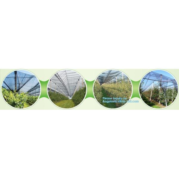 Garden tomato green house greenhouse film 3 layer eva agriculture clear plastic protective 90% transmission green house,