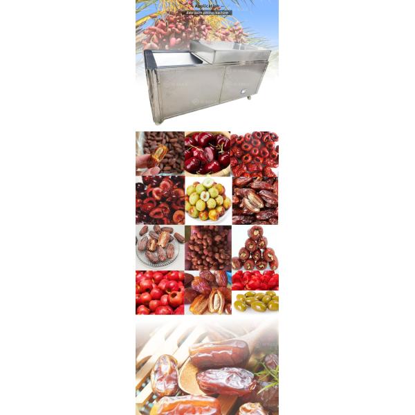 1.5kw Palm Dates Kernel Removing Machine for Red Dates Pitting and Green Plum Seed Removal