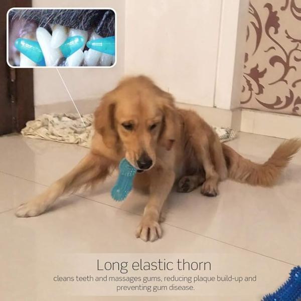 Dog Soft Chew Toys Durable TPR Bone Shape for Interactive Training and Teeth Cleaning