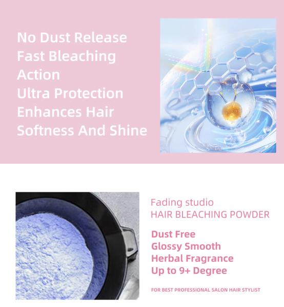 Pandla OEM Hair Bleach Powder Raw Material Dust Free for Professional Salon Permanent Hair Dye