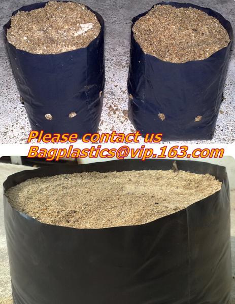 Horticulture, NURSERY, PLANTER, SEED, PLASTIC GROW BAGS, HYDROPONICS, FLOWERPOTS, BLACK