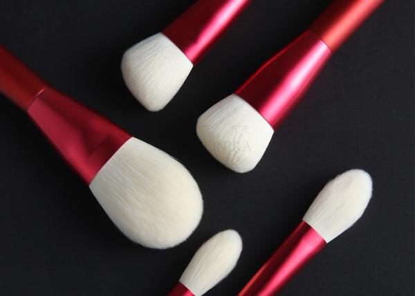 Escova de mistura do destaque vermelho sintético da fundação do pó do grupo de escova da composição 12PCS