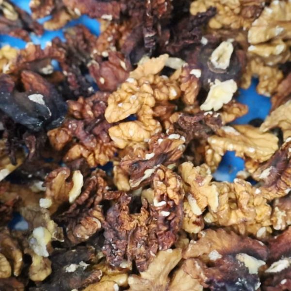 Advanced Walnut Kernel Classification Machine Provides Complete Dual-Side Inspection Coverage For Hidden Defect Finding Higher accuracy with 12 outlets