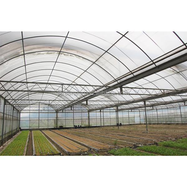 Film Surface Insulated Greenhouse Kits For Flowers And Vegetables Growing
