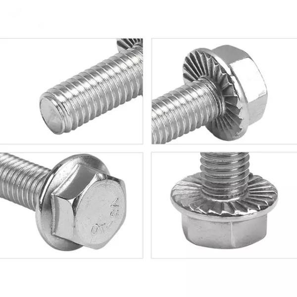 De aço inoxidável métrico encanta o parafuso serrilhado tampão da flange com porcas