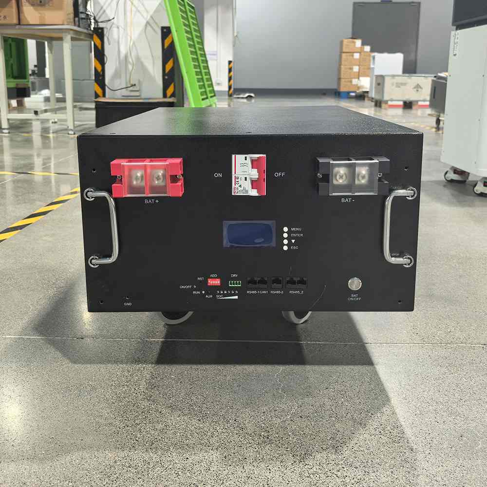 10.24kWh 51.2V 200Ah LiFePO4 Battery Module Rack Mounted