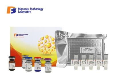 Canine VIP Sandwich Immunosorbent Assay Kit With High Sensitivity / Specificity