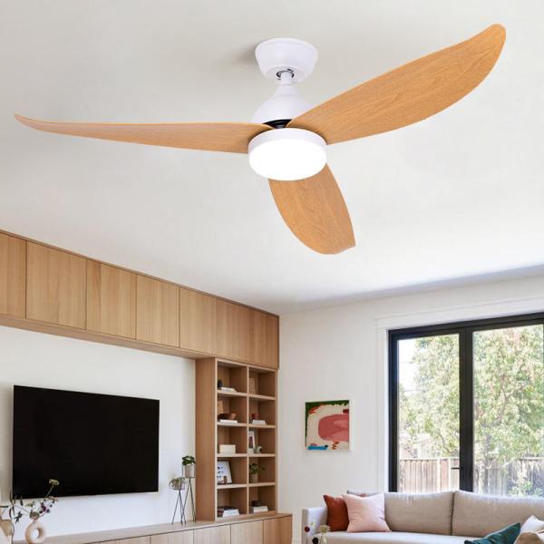 Quiet 56-Inch Ceiling Fan with Powerful Airflow ABS 3 Blades DC Motor Remote Control 110V-240V for Household and Hotel