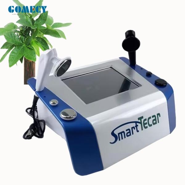 Portable High-Performance Radiofrequency Tecar Therapy Machine for Horse Sports Injuries - Advanced Physiotherapy Treatment