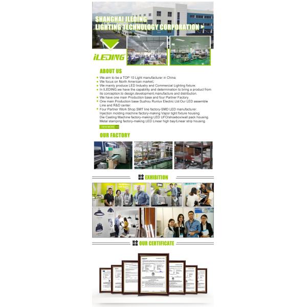 6KV Surge Protected LED Vapor Tight Bay Color Switchable IP67 IK10