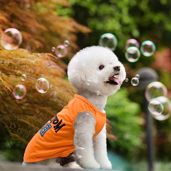Dog Pajamas for Small Dogs Boy Girl Cute Dog Clothes Soft Stretch Chihuahua Yorkie Clothes Onesies Summer Puppy