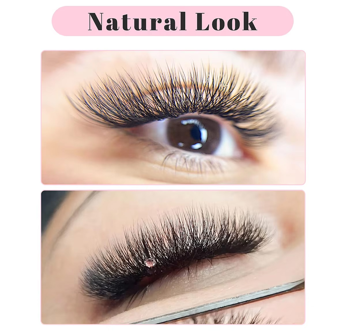 6D 8-15MM D Curl Volume Eyelashes Extension Trays Custom DIY Packaging Private Label