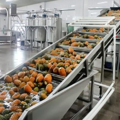 Linha de produção automática completa de enchimento de suco de fruta abacaxi concentrado de polpa de processamento de geleia fábrica de máquinas