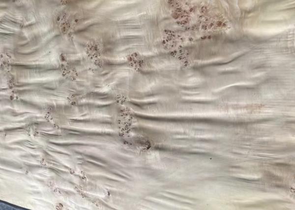 Mappa Burl Wood Veneer Length 0.5m-2m / 2cm-2.44m/ 2.45m-3.6m