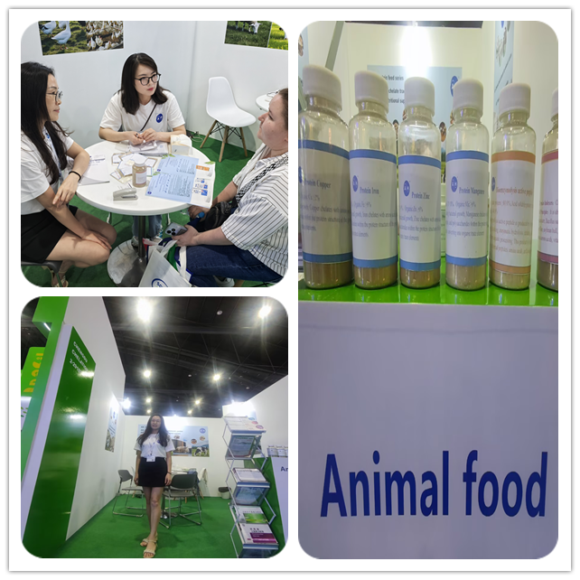 Manganese Methionine Chelate Feed Additive with 35% Methionine and 15% Organic Mn for Trace Element Supplementation