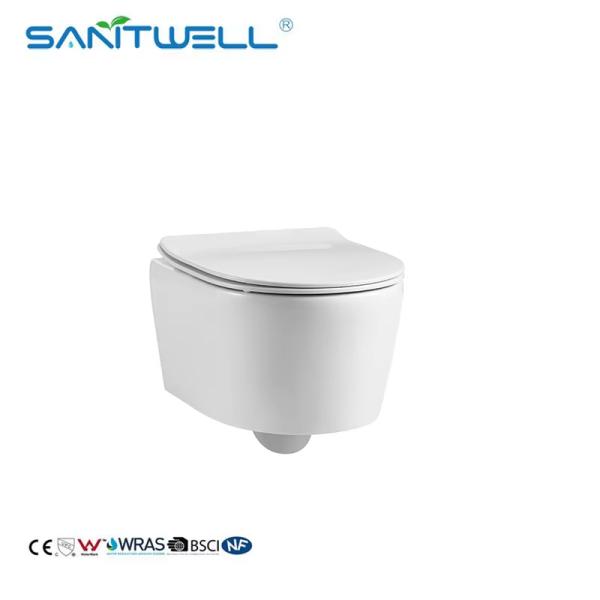Luxury Sanitary Ware Hot Selling Models Washdown Rimless Flushing Wall Hung Toilets WC