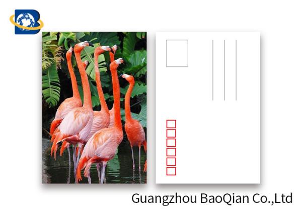 Loverly Flamingo Lenticular Image Printing Postcard , 3D Lenticular Picture 11x16cm Size