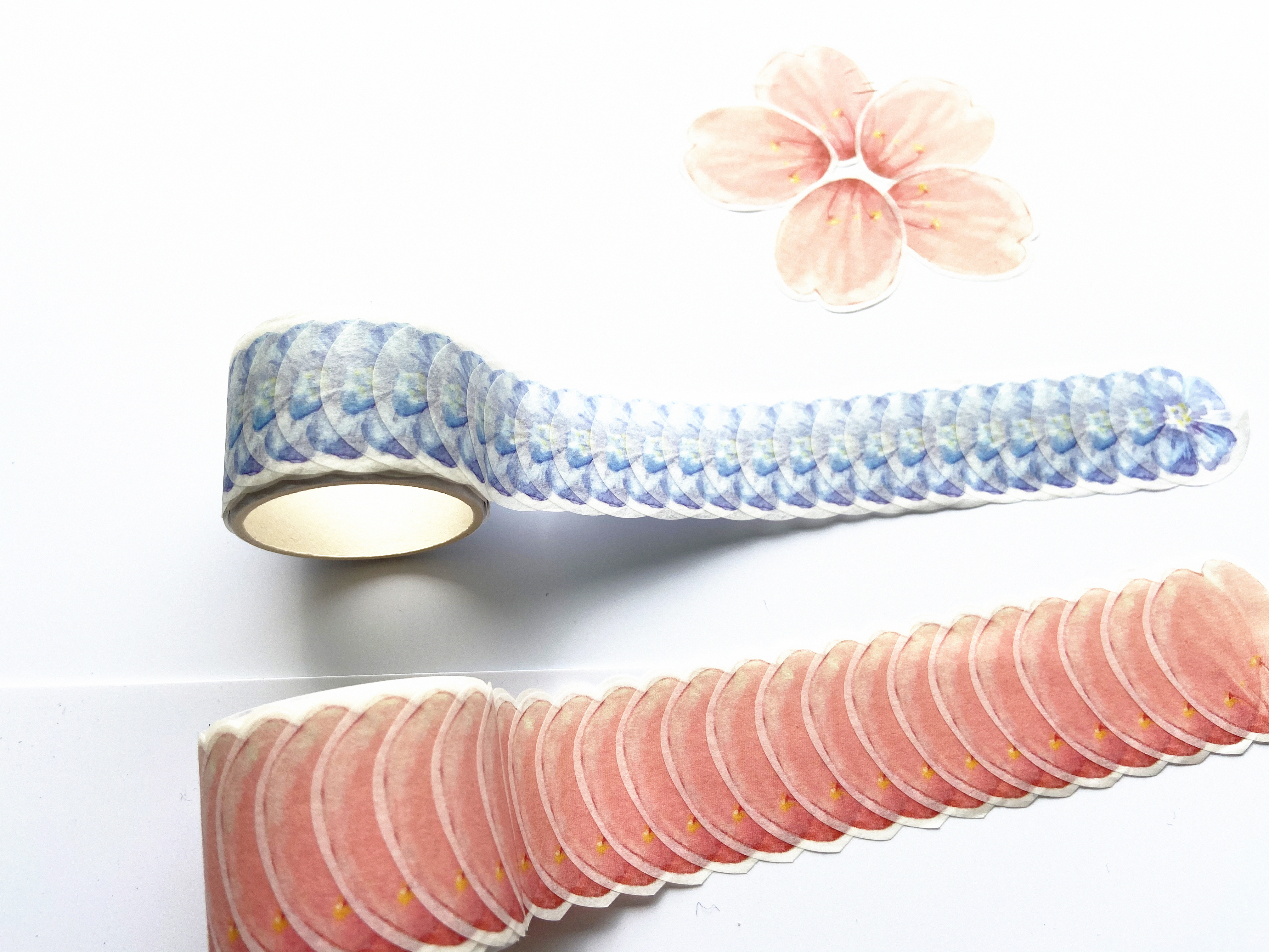 CMYK 6 красит стикеры ленты Washi свежих фруктов