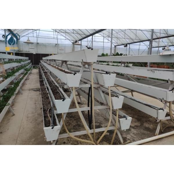 Agricultural Strawberry Gutter Systems PVC Hydroponic Trough Modern