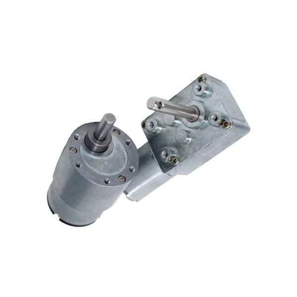 O motor liso da C.C. da caixa de engrenagens escovou o micro para o equipamento de transmissão 6V 12V 24V