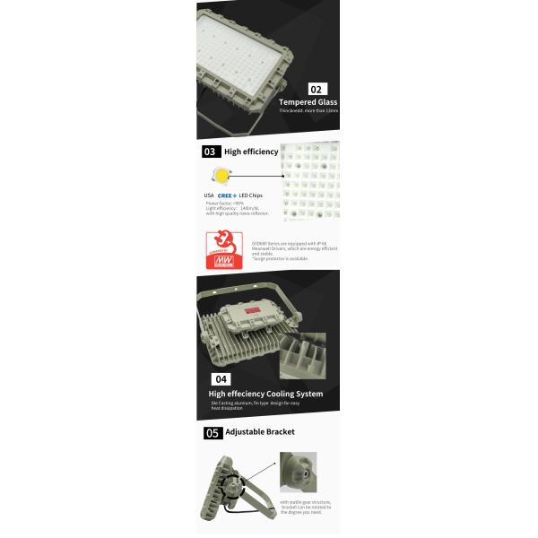 ATEX IECEx Led Explosion Proof Light Fixture High Luminous 50W 150W 200W 250Watts