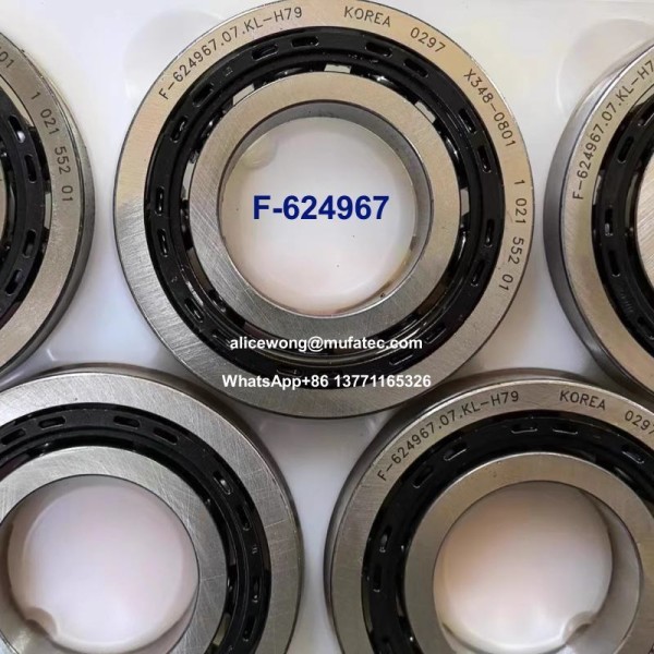 F-624967.07.KL-H79 Automobile Differential Bearings Gearbox Bearings Cylindrical Roller Bearings