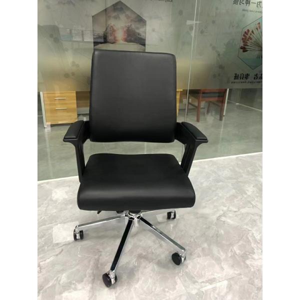 Character Revolving Ergonomic Office Chair with Lumbar Support Mesh Design and Armrests
