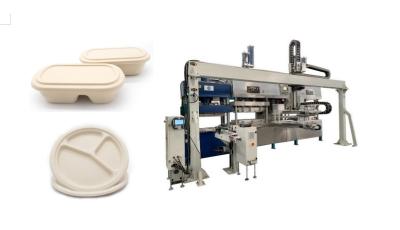 Bagaço automático da cana-de-açúcar para reduzir a polpa o fast food descartável sustentável Tray Machine