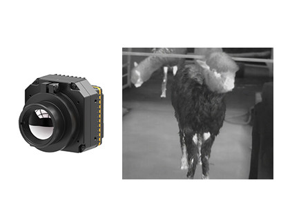 640x512 Resolution 12μm Pixel Size Uncooled Thermal Camera Module for LWIR Infrared Security Monitoring