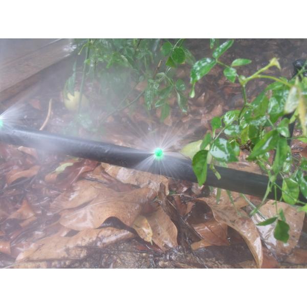 Lawn Micro Watering Sprinklers Mister Landscaper Micro Sprinkler POM Material