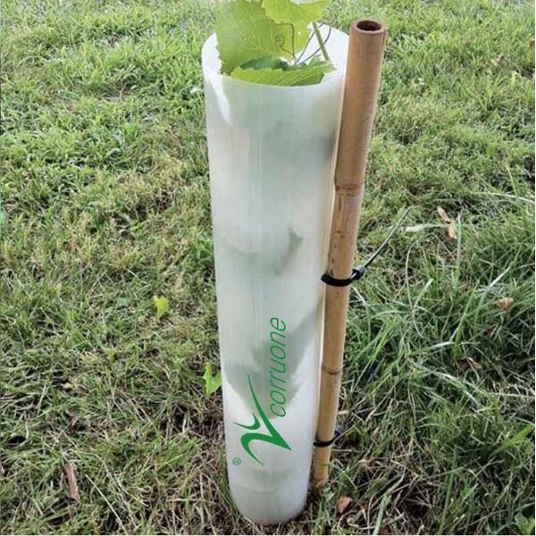 Reusable Corrugated Plastic Seedling Protection Sleeve with Customized Colour