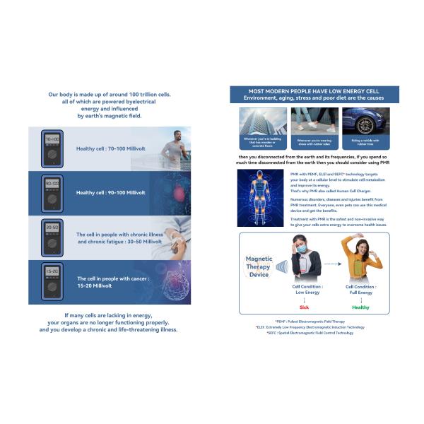 PEMF Успокоение боли Физическая терапия Pemf Нагревательная матрас Магнитное исцеление Pemf Mat