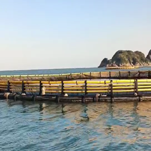 Anti-wave Round HDPE Fish Cage for Lake Reservoir Aquaculture