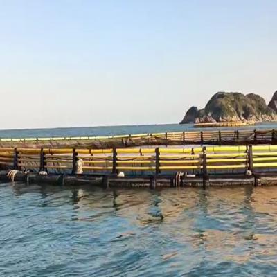 Round Fish Cage with Anti-slip Walkway | Surrounding Platform for Easy Operation