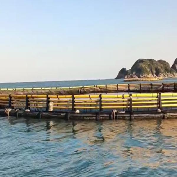 Round Fish Cage with Anti-slip Walkway | Surrounding Platform for Easy Operation
