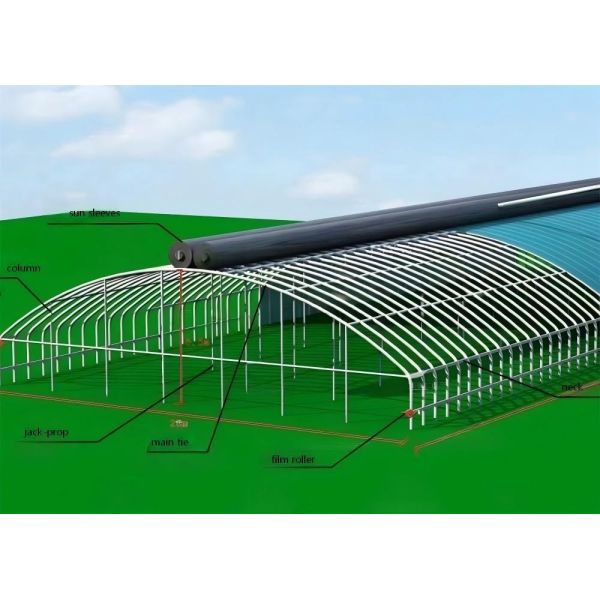 Wind Resistance Snow Load Capacity Hot-Dip Galvanized Steel Agricultural Greenhouse Steel Frame Building