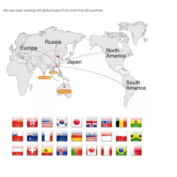 Soy Wax Scented Tin Candles , Handmade Non Toxic Long Lasting Scented Candles