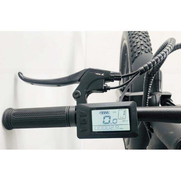 Disc Brake 750W 48V Lithium Battery Adult E Bike Fat Tire Electric Bike 26 inch with Max Speed of 30-50Km/h