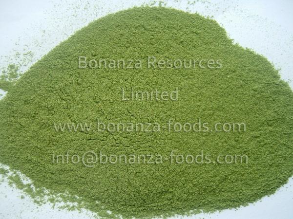 Freeze Dried Leek Powder/Bulk Packaging dried leek/HACCP certified/Kosher/free sample